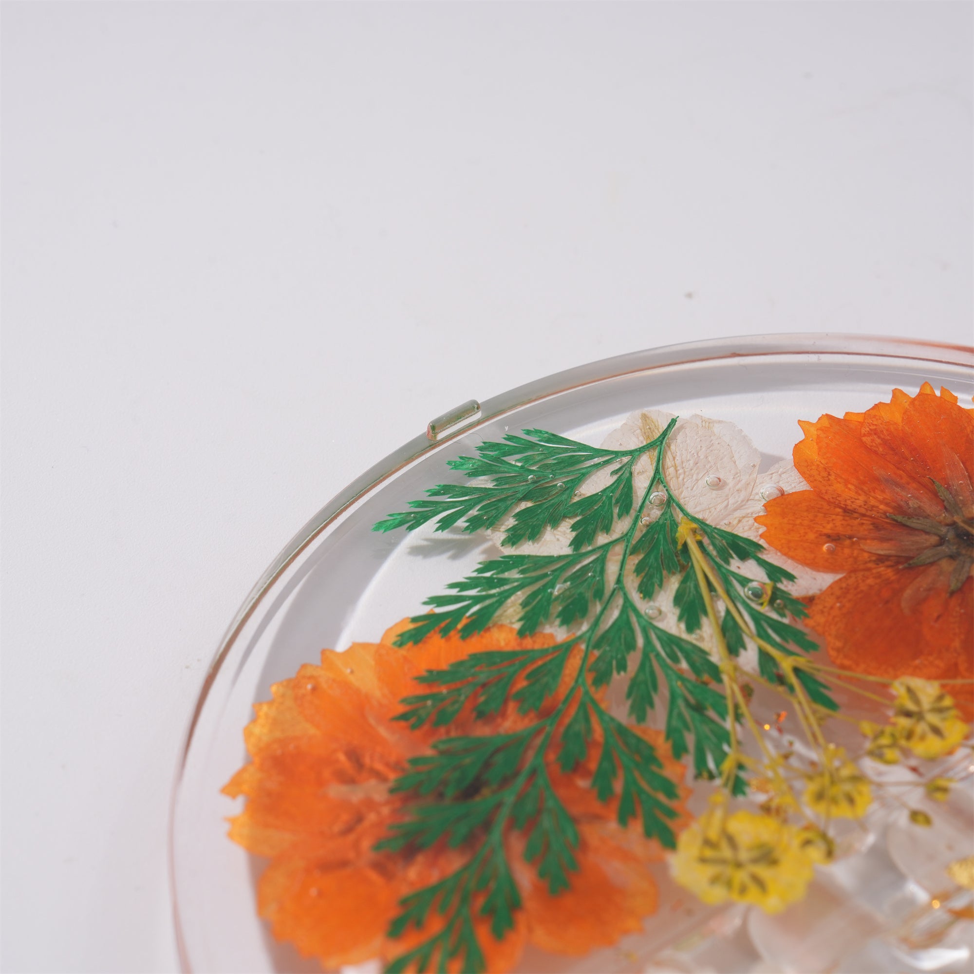 Round Resin Paint Brush Holder,Real Folwers,Daisy,Gold Flakes, Artist Gifts