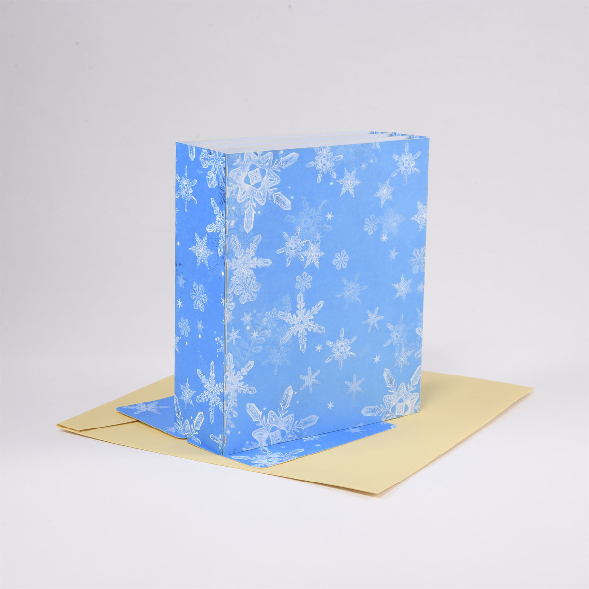 Ice Castle Box Christmas Card